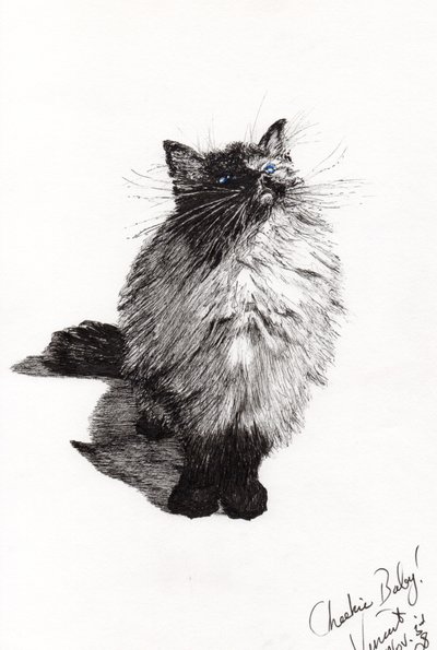 cheekie baby, 2008, (muste paperille) tekijältä Vincent Alexander Booth